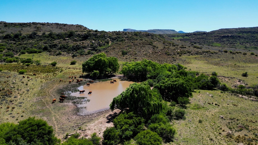 0 Bedroom Property for Sale in Lady Grey Eastern Cape